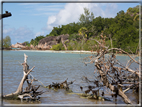 foto Flora e la Fauna alle Seychelles